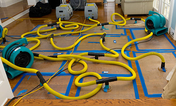 Professional Structural Drying And Dehumidification technician working in Lennon, MI